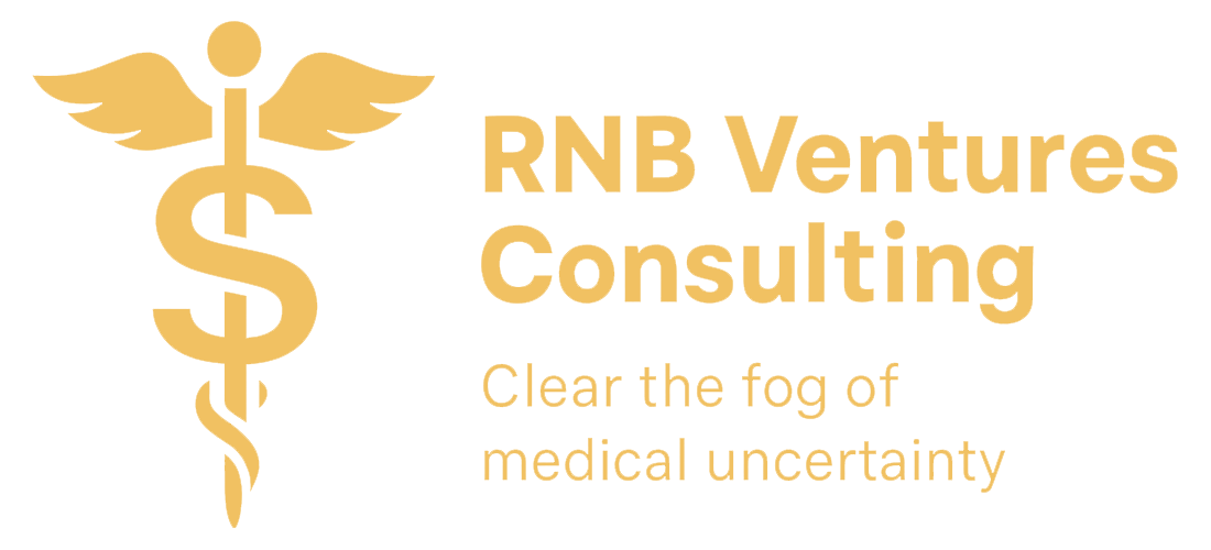 logo RNB Ventures Consulting home